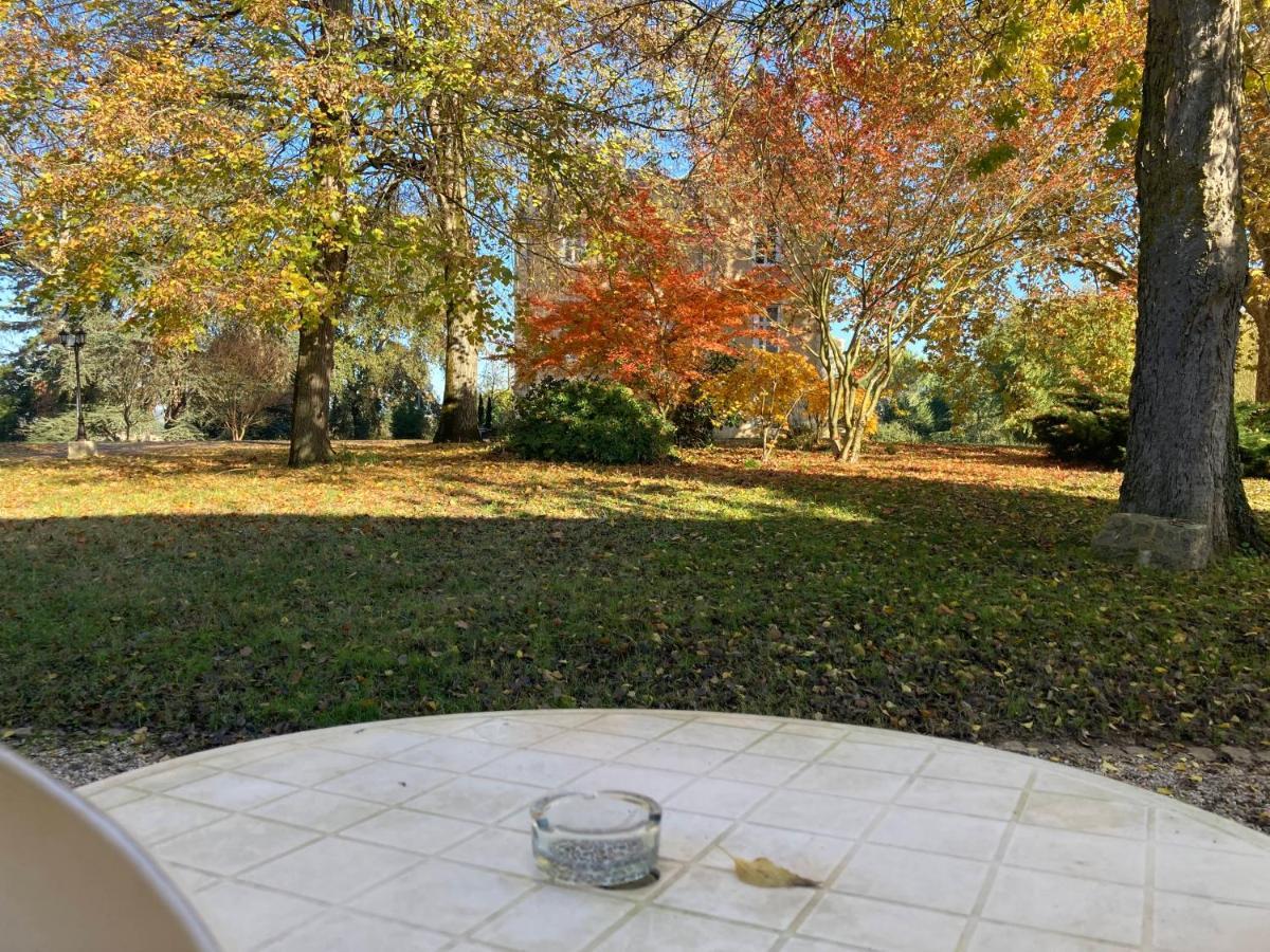 Orangerie Du Chateau Marith - Domaine Avec Piscine Clairac  Cameră foto