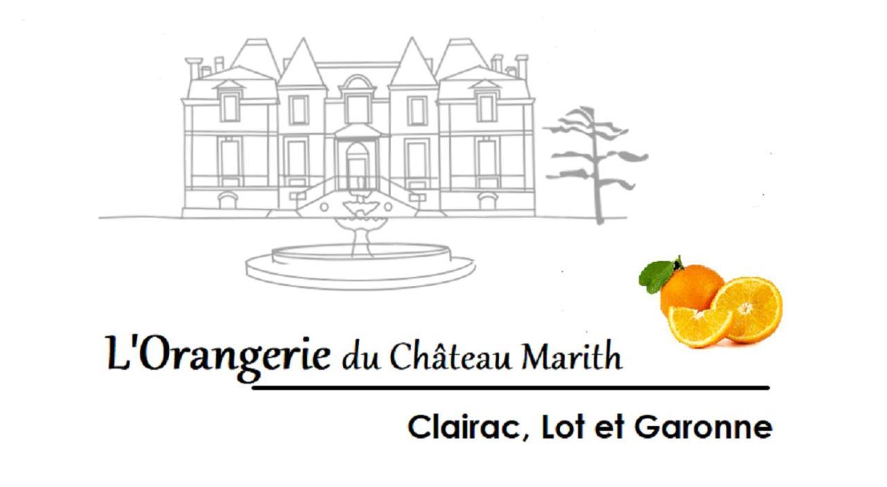 Orangerie Du Chateau Marith - Domaine Avec Piscine Clairac  Exterior foto