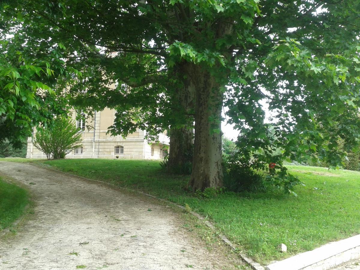 Orangerie Du Chateau Marith - Domaine Avec Piscine Clairac  Exterior foto